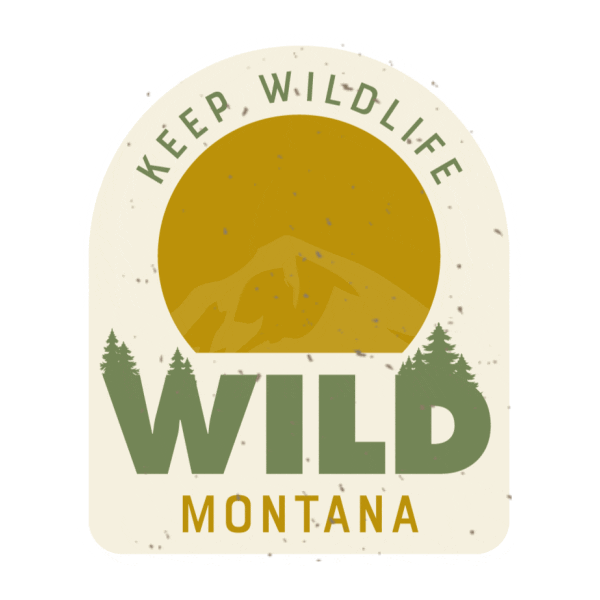 Summer Camping Sticker by Visit Montana
