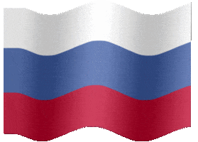 flag russia GIF