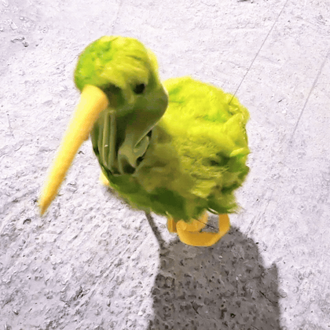 Happy Dance GIF