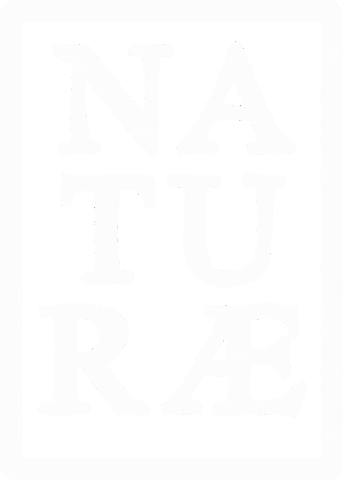 Naturæ Gin Sticker