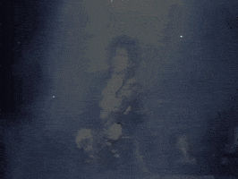 The Revolution Prince GIF