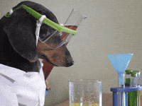 Science Experiment GIFs - Find & Share on GIPHY