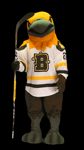 brockport celebration hockey mascot suny GIF