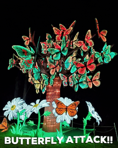 Butterfly Attack Colorful Night Lights GIF