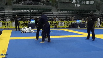 Bjj GIF