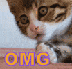 100.gif?cid=20e14a2a8ca80e5c8f86d4d18b071443ae8634b1b38f3169&rid=100.gif
