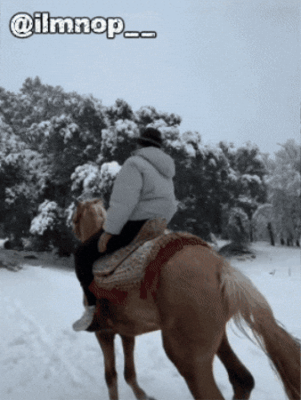 Instagram Travel GIF