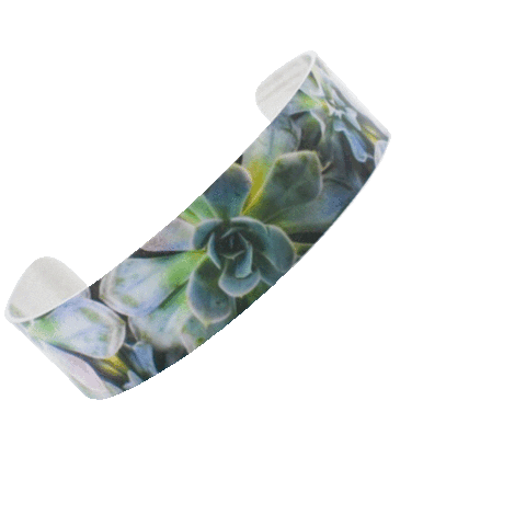 Bracelet Succulents Sticker by Wear The Wonder