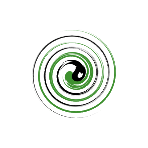 Calcio A 5 Football Sticker by usaclicosenza