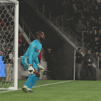 Soccer Goalie GIF by LAFC