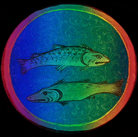 recettemedievale rainbow fish cook medieval GIF
