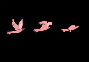 Pink Bird GIF