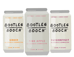 Kombucha Brew Sticker by Bootleg Booch