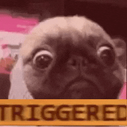 triggered GIF