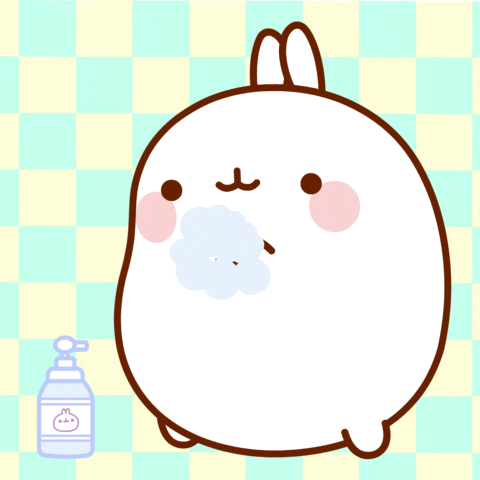 Stay Home Wash Hands GIF by Molang