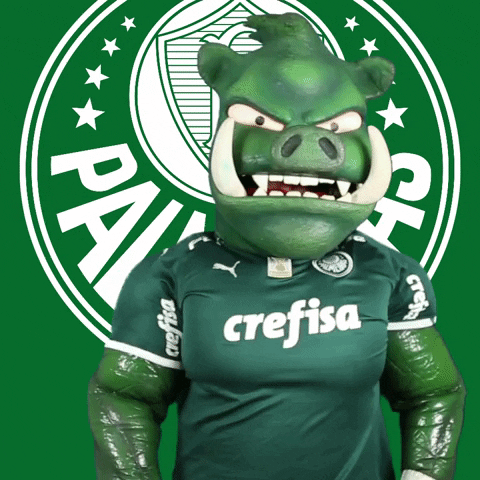 Soccer End GIF by SE Palmeiras
