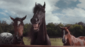 Laughter Laughing GIF by ADWEEK