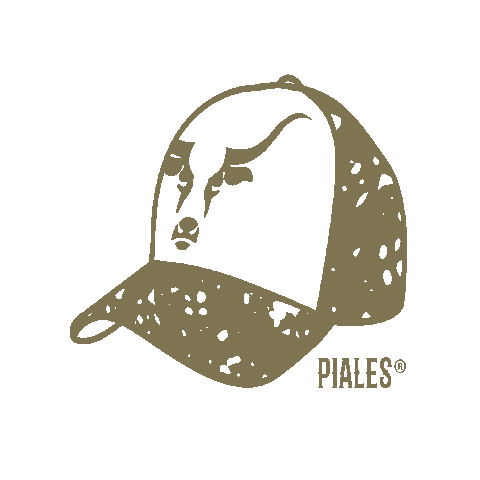 PIALES Sticker