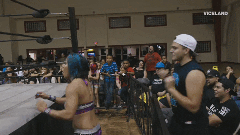 Female Wrestlers GIFs - Get the best GIF on GIPHY