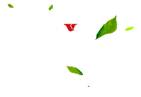 Erva-mate VIER Sticker