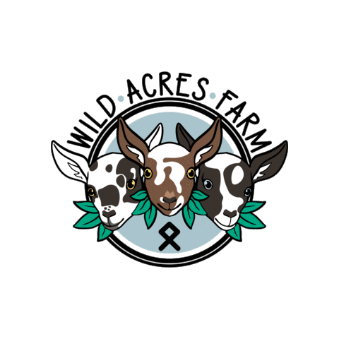 Silver Moon MetalSmith Sticker