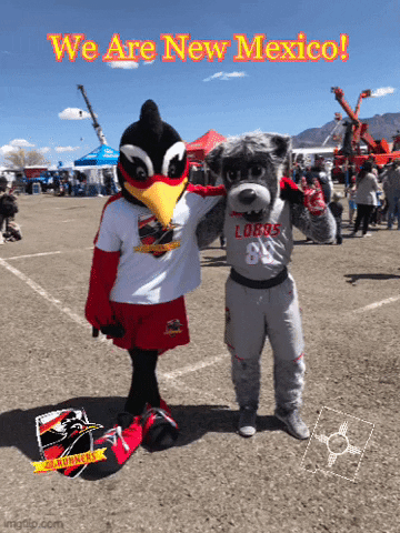 Run As One University Of New Mexico GIF by New Mexico Runners