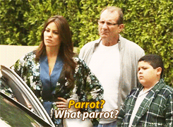 Gloria Delgado Pritchett GIFs - Find & Share on GIPHY