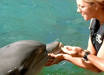 britney spears dolphin GIF