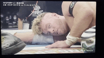 Wrestling GIF