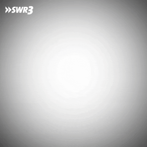 Excuse Me What GIF by SWR3