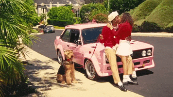 Side Street GIF by Tyler, the Creator