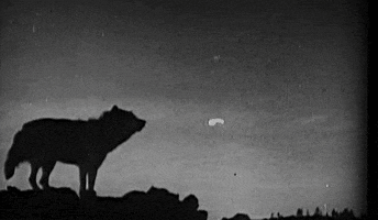 howling black and white GIF