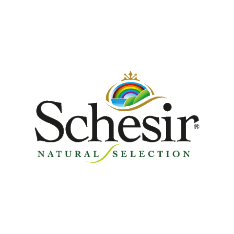 Schesir Sticker