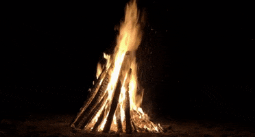 Fire Caliente GIF by GIF CHANNEL - GREENPLACE PARK