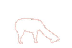 Thierra Nuestra Sticker