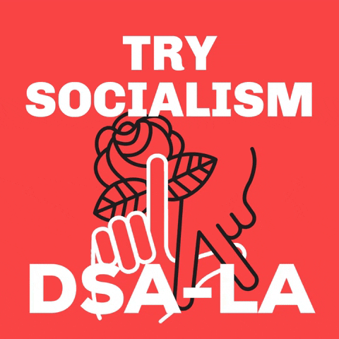 DSA Los Angeles GIF
