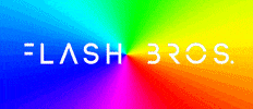 FlashBros GIF