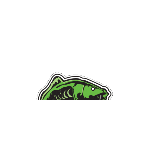Carp Pecanje Sticker by Duga Travel Sabac