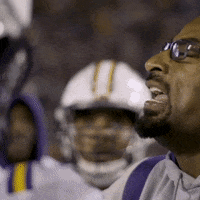 Lets Go Football GIF by LSU Tigers