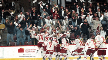 Winning Womens Hockey GIF by Norwich University