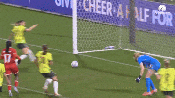Defender GIF by Football Australia