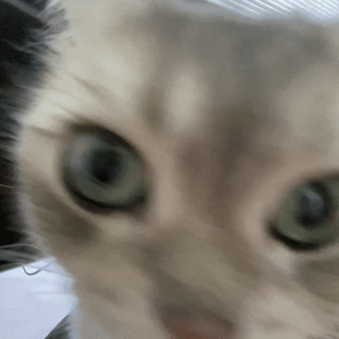 Side Eye GIF