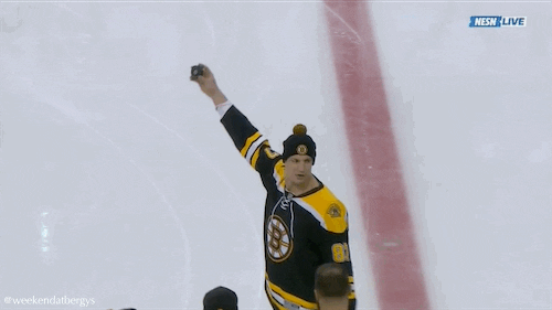 boston bruins