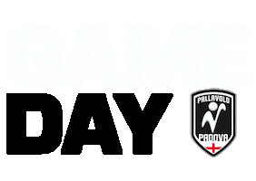 Pallavolo Padova Sticker