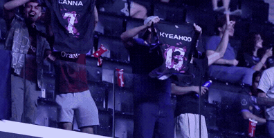 Fans Screaming GIF
