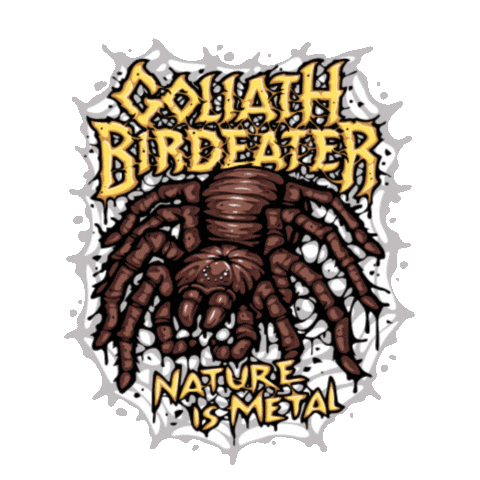 Spider Sticker by Nature Is Metal