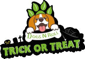 Cat Dog Sticker by Dogs N Roll Latam