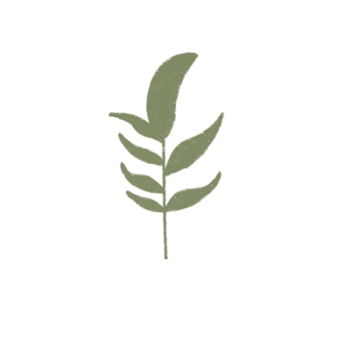 Plants Sticker