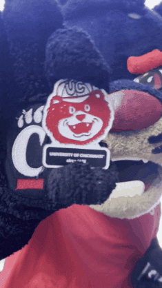 University Of Cincinnati Bearcats GIF by uofcincyalumni