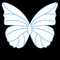 The St. Regis Rome GIF